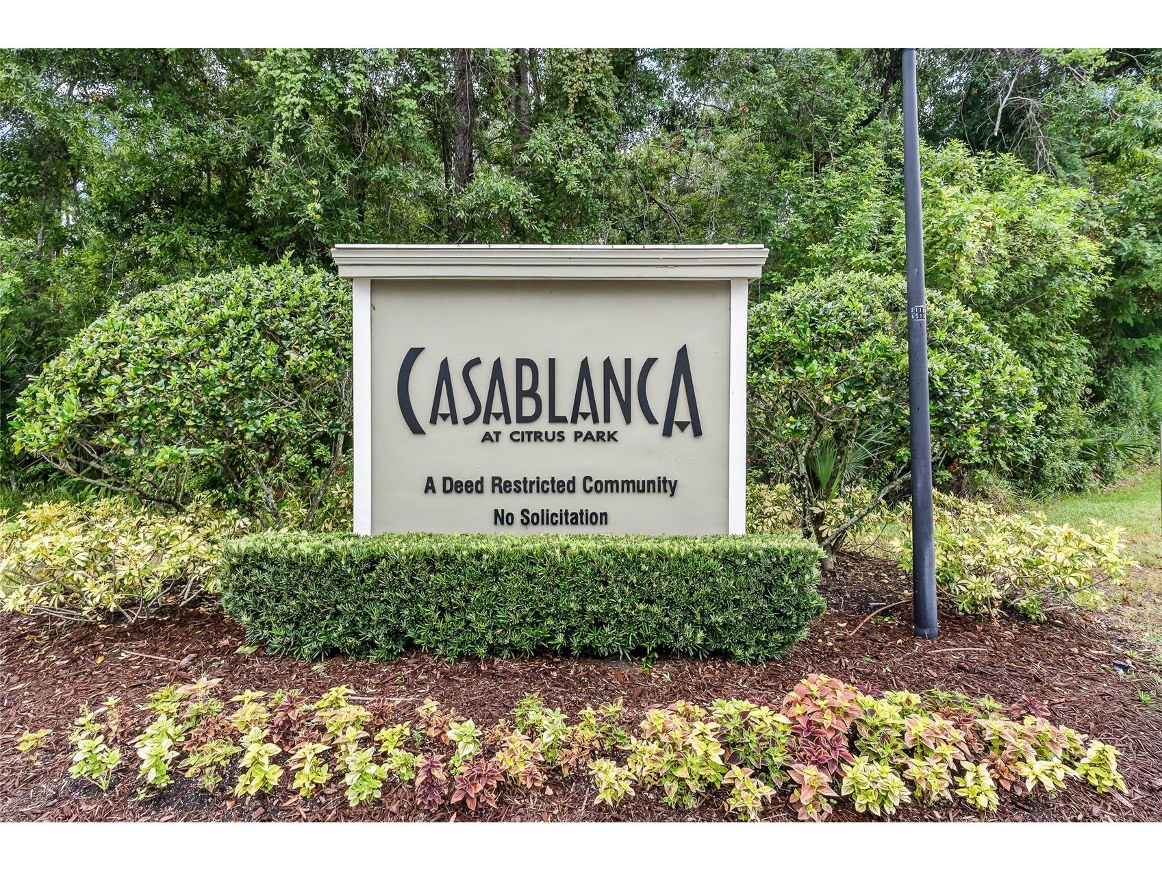 11014 Blaine Top Place Tampa FL 33626 TB8526303 image24