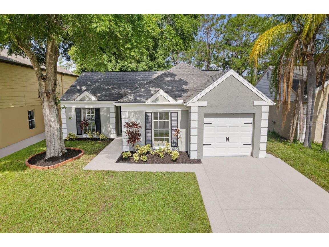11014 Summer Drive Tampa FL 33624 T3545835 image1