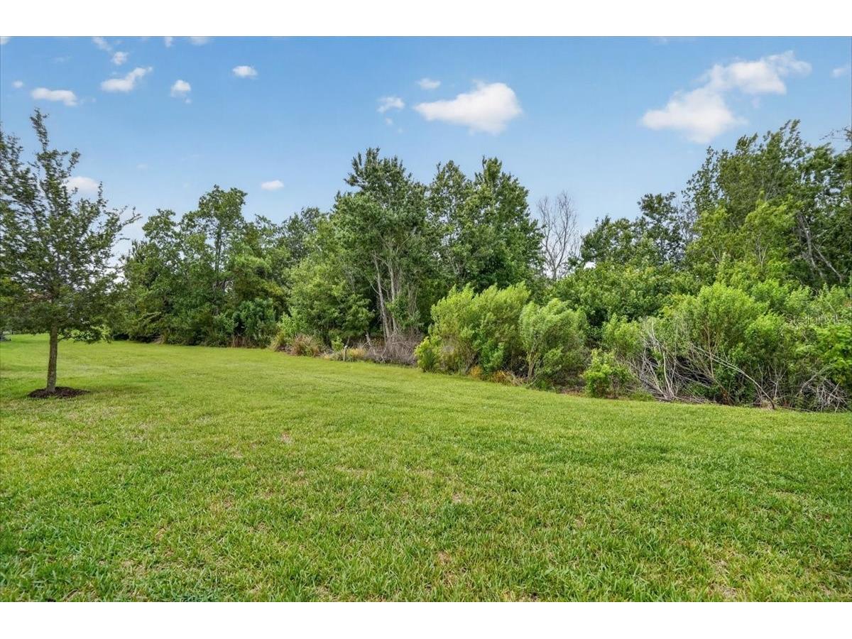 11014 Wicker Park Place Palmetto FL 34221 A4696257 image19
