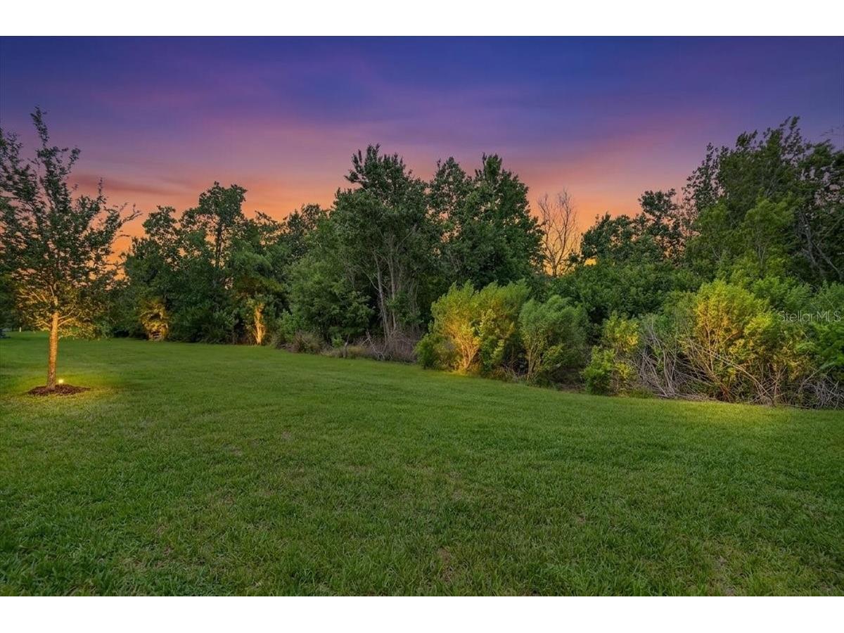 11014 Wicker Park Place Palmetto FL 34221 A4696257 image20