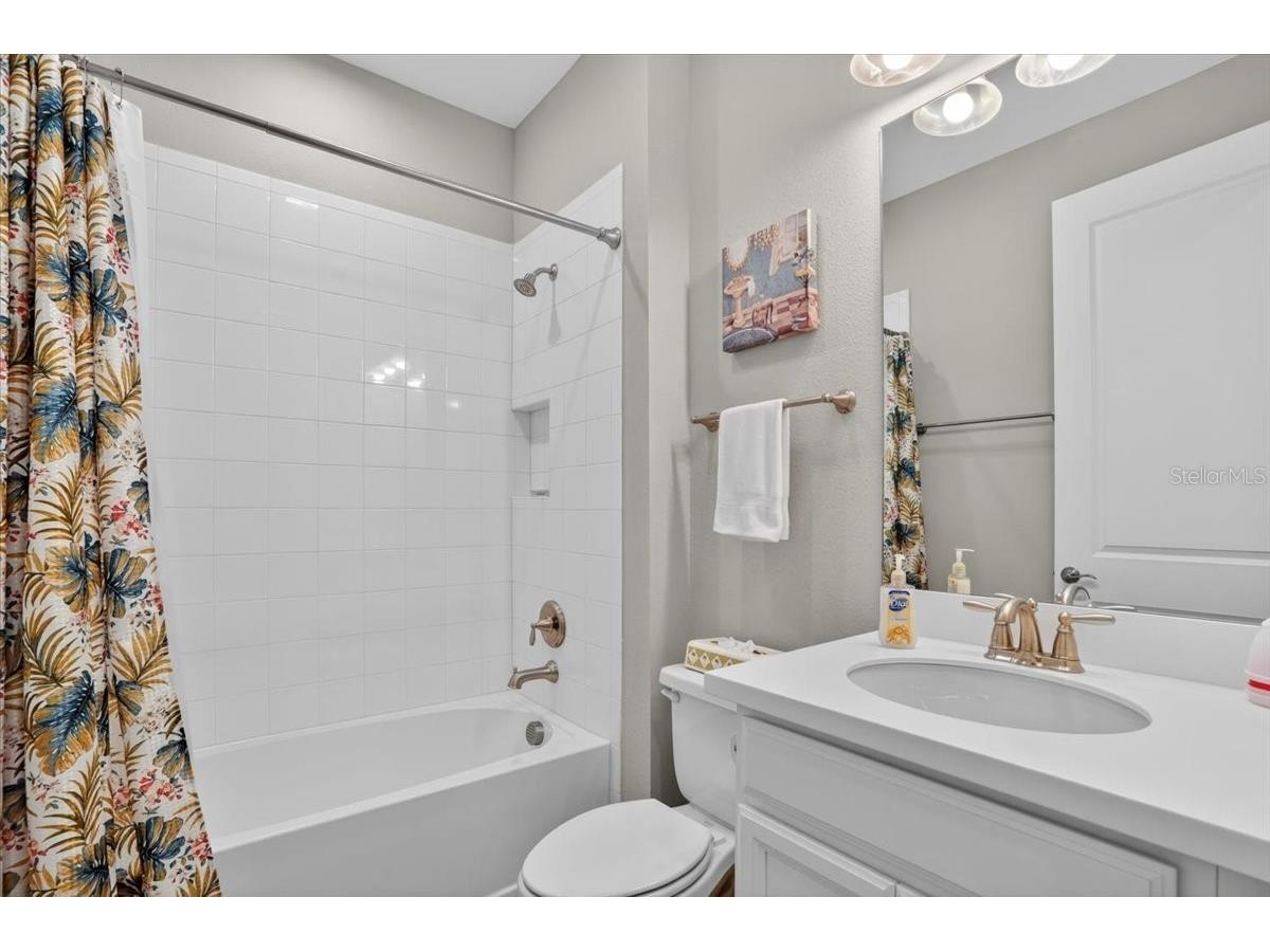 11014 Wicker Park Place Palmetto FL 34221 A4696257 image33