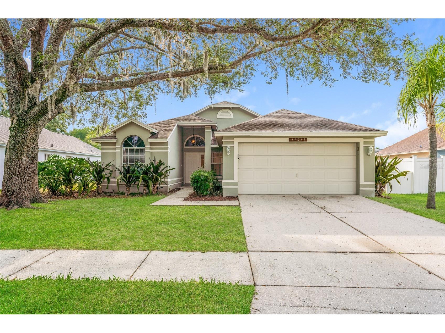 11015 Peking Place Tampa FL 33624 TB8506580 image1