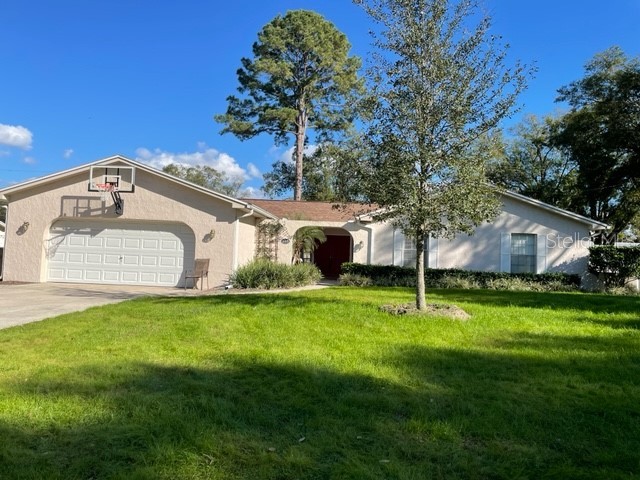 11015 Saginaw Drive Temple Terrace FL 33617 T3347718 image1