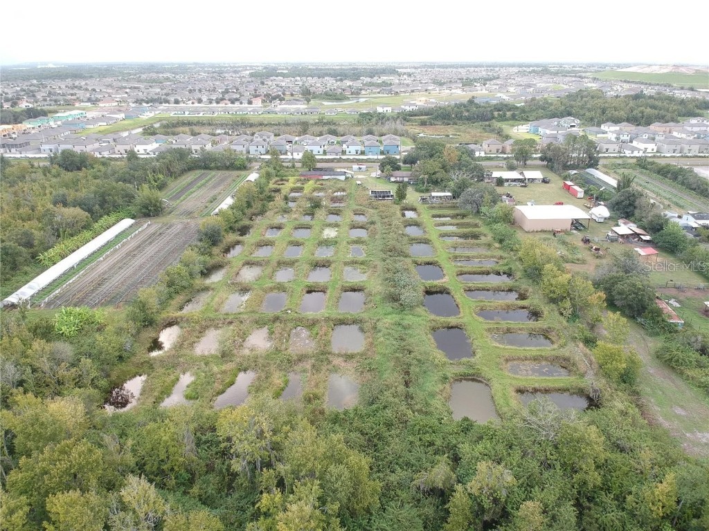 11015 Sumner Road Wimauma FL 33598 T3372495 image1