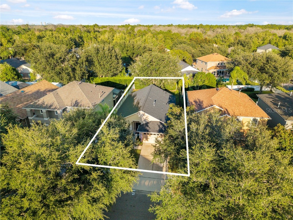 11015 Taeda Drive Orlando FL 32832 S5137509 image36