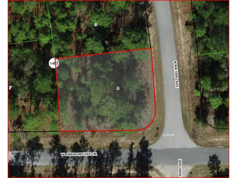 11016 N Mataro Avenue Citrus Springs FL 34434 OM724790 image1