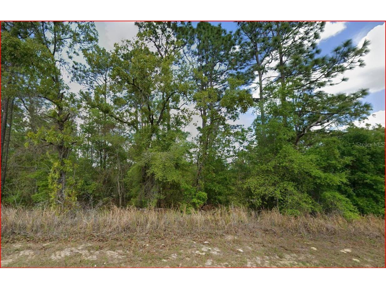 11016 N Mataro Avenue Citrus Springs FL 34434 OM724790 image2