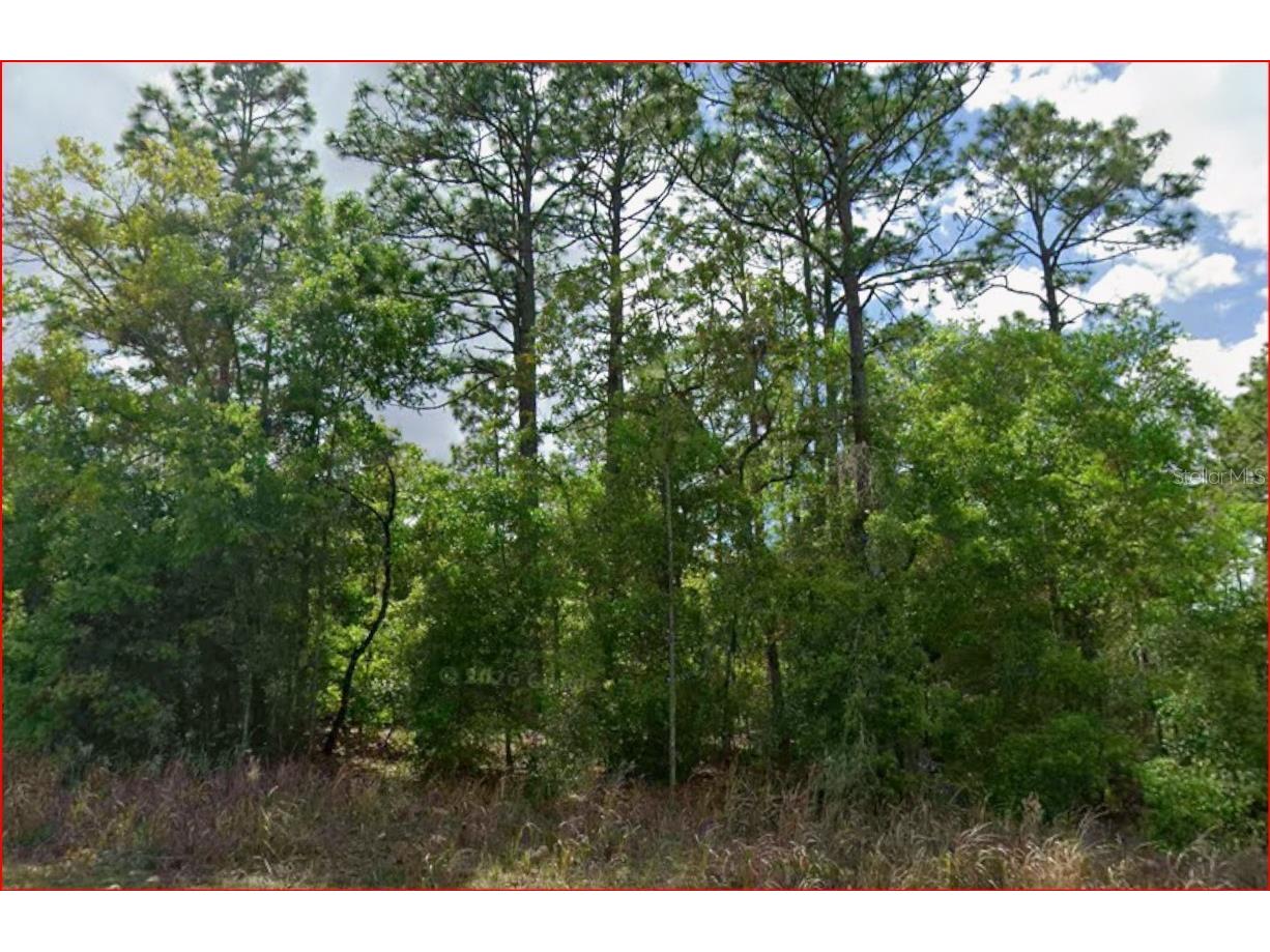 11016 N Mataro Avenue Citrus Springs FL 34434 OM724790 image3