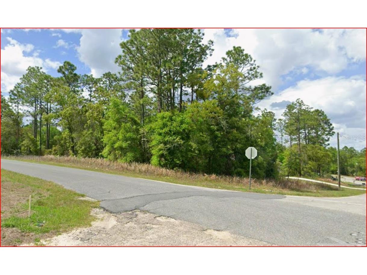 11016 N Mataro Avenue Citrus Springs FL 34434 OM724790 image4