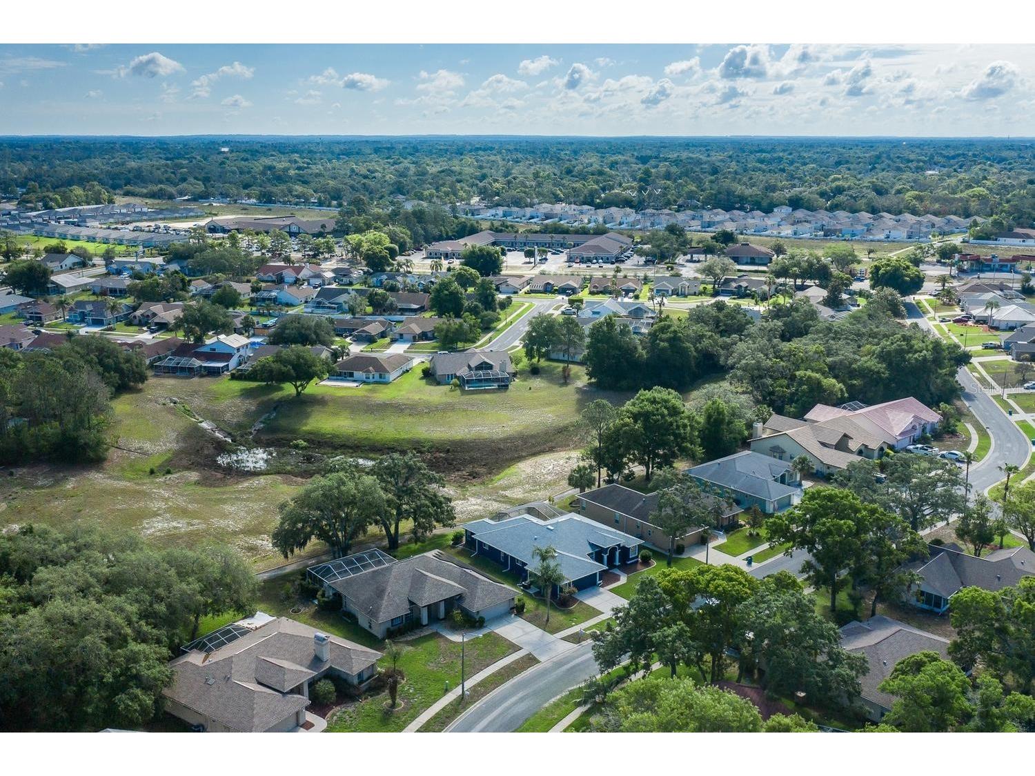 11017 Audie Brook Drive Spring Hill FL 34608 W7885800 image66