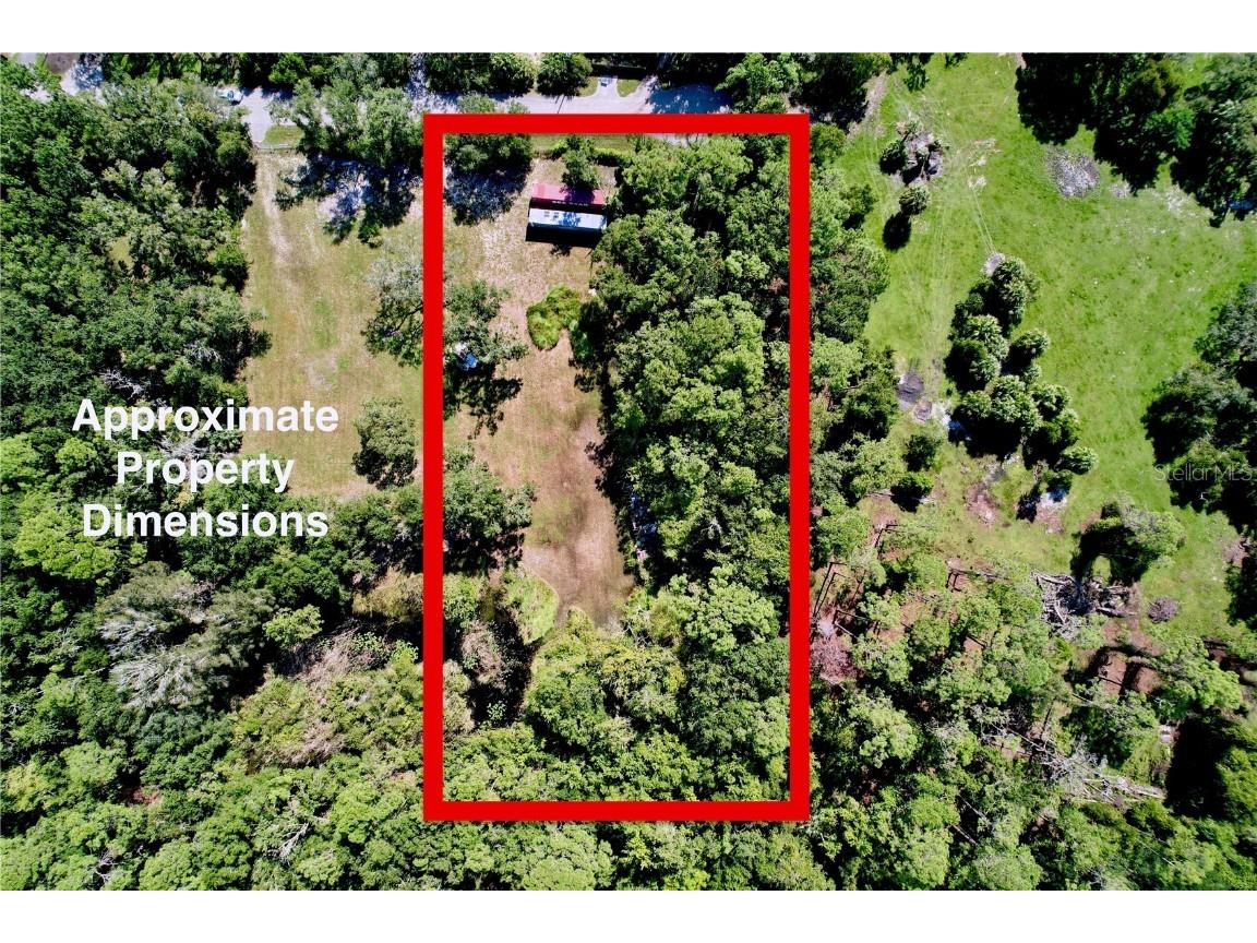 11017 Tracey Court New Port Richey FL 34654 TB8423966 image1