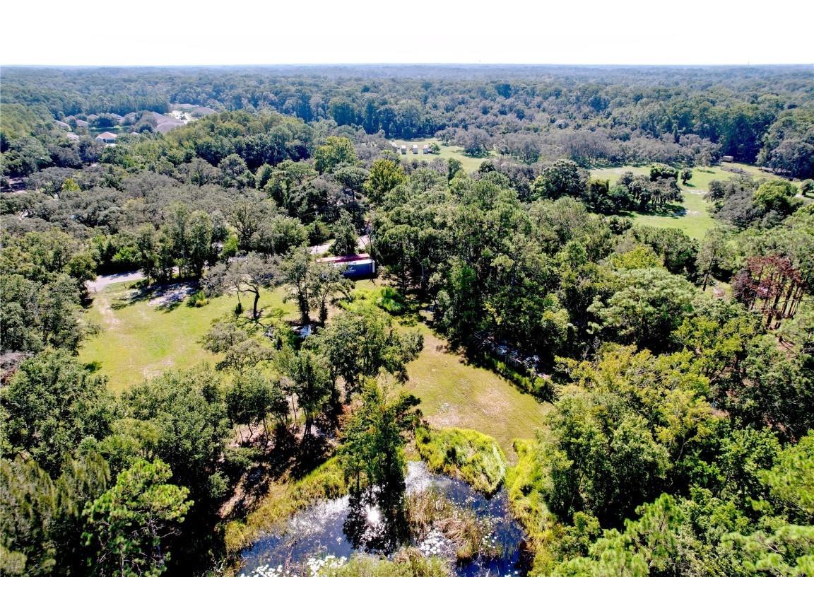 11017 Tracey Court New Port Richey FL 34654 TB8423966 image10