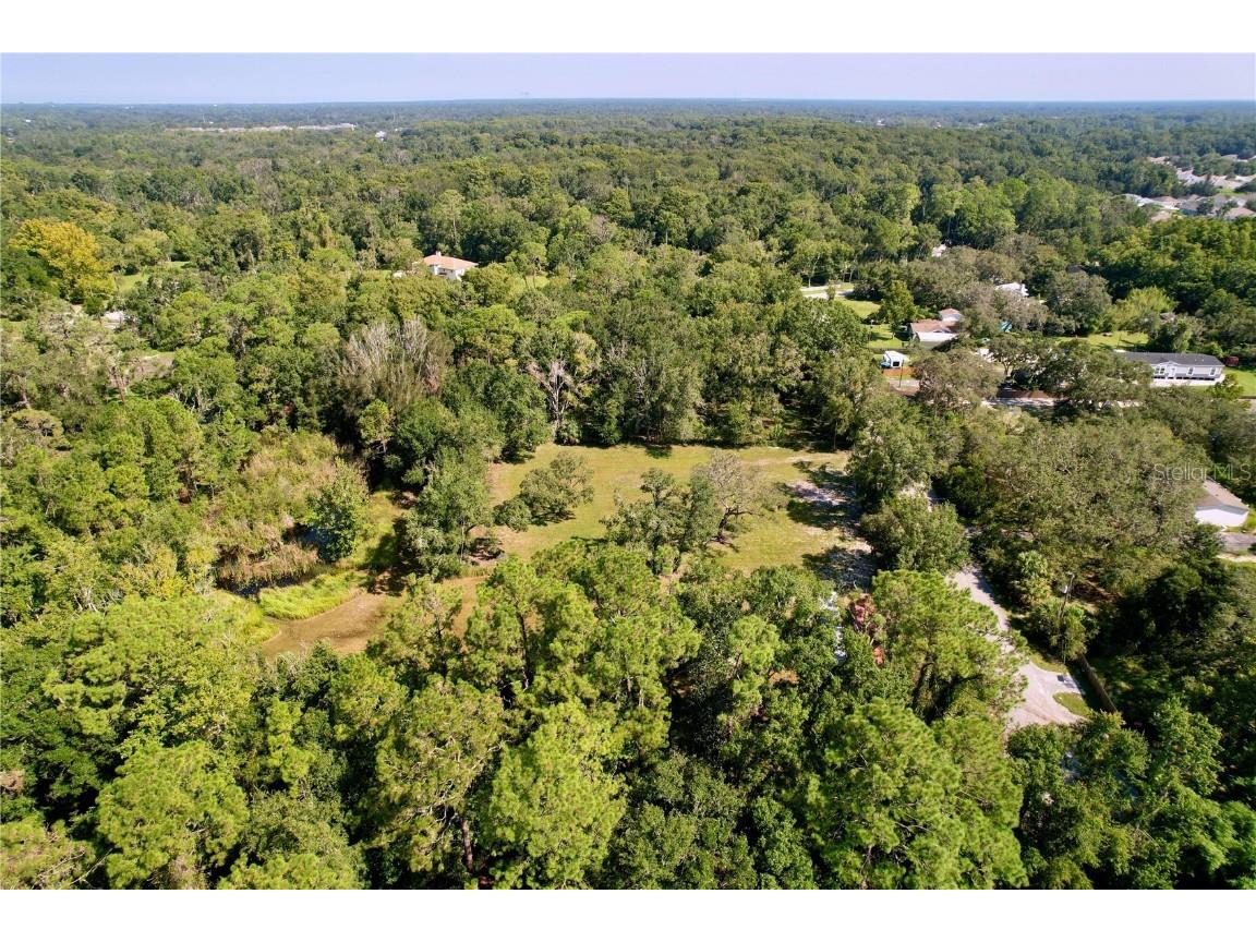 11017 Tracey Court New Port Richey FL 34654 TB8423966 image11