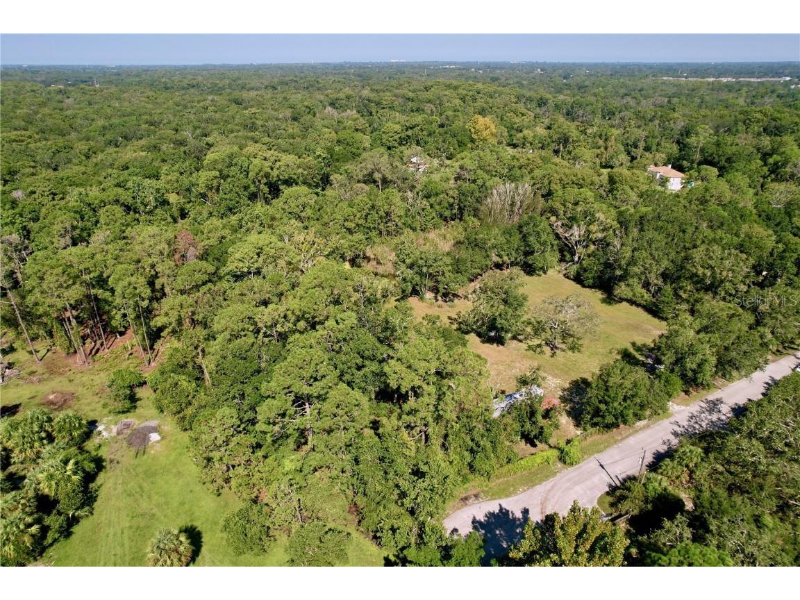 11017 Tracey Court New Port Richey FL 34654 TB8423966 image12