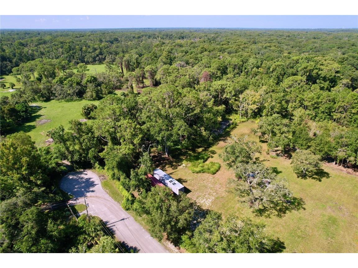 11017 Tracey Court New Port Richey FL 34654 TB8423966 image13