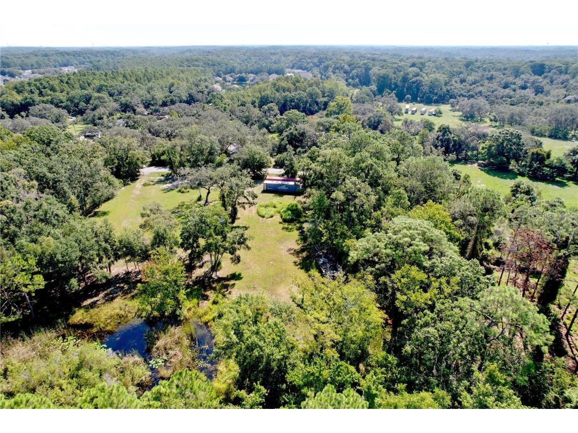 11017 Tracey Court New Port Richey FL 34654 TB8423966 image14