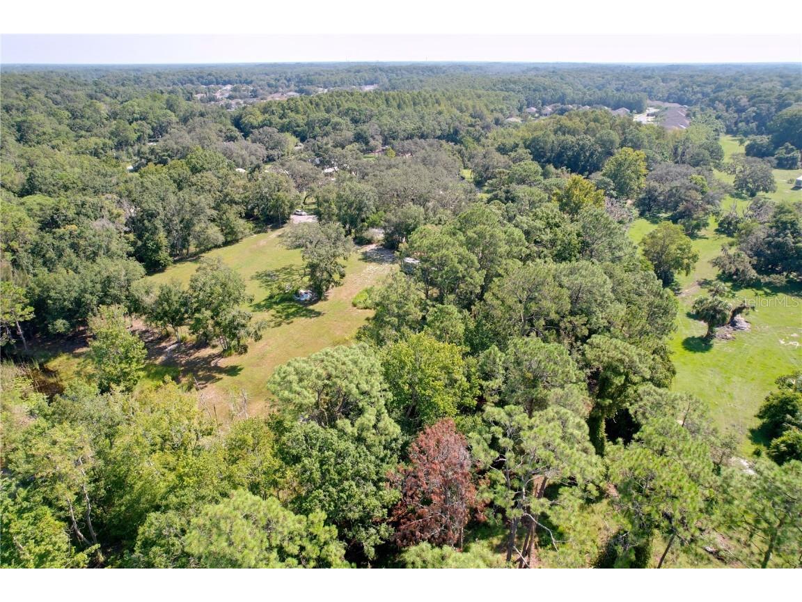 11017 Tracey Court New Port Richey FL 34654 TB8423966 image15