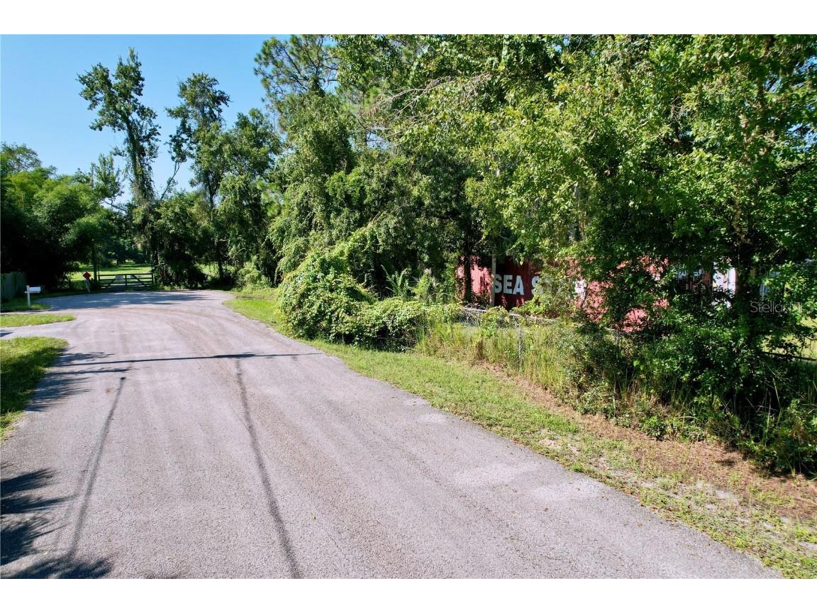 11017 Tracey Court New Port Richey FL 34654 TB8423966 image3