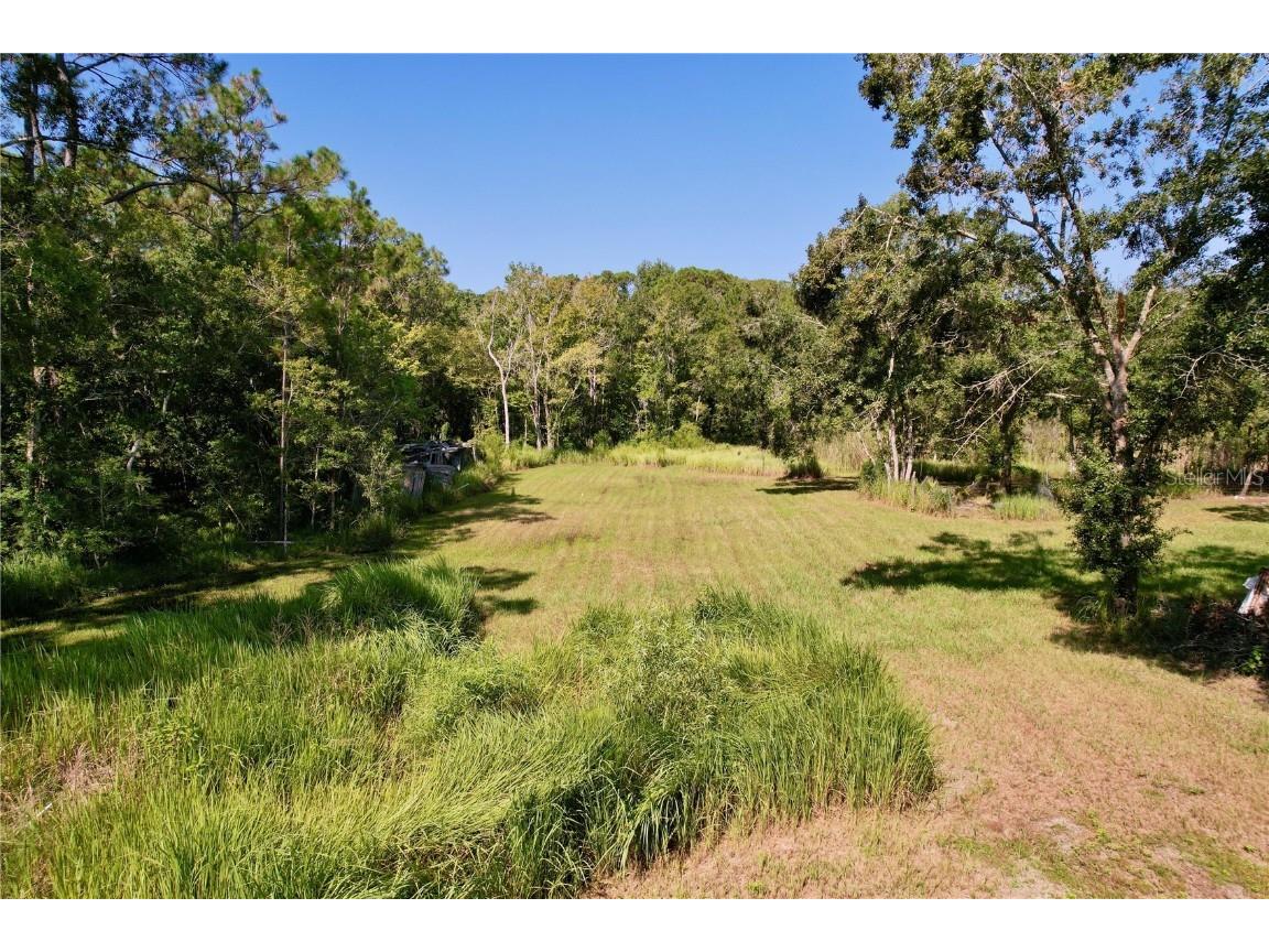 11017 Tracey Court New Port Richey FL 34654 TB8423966 image5