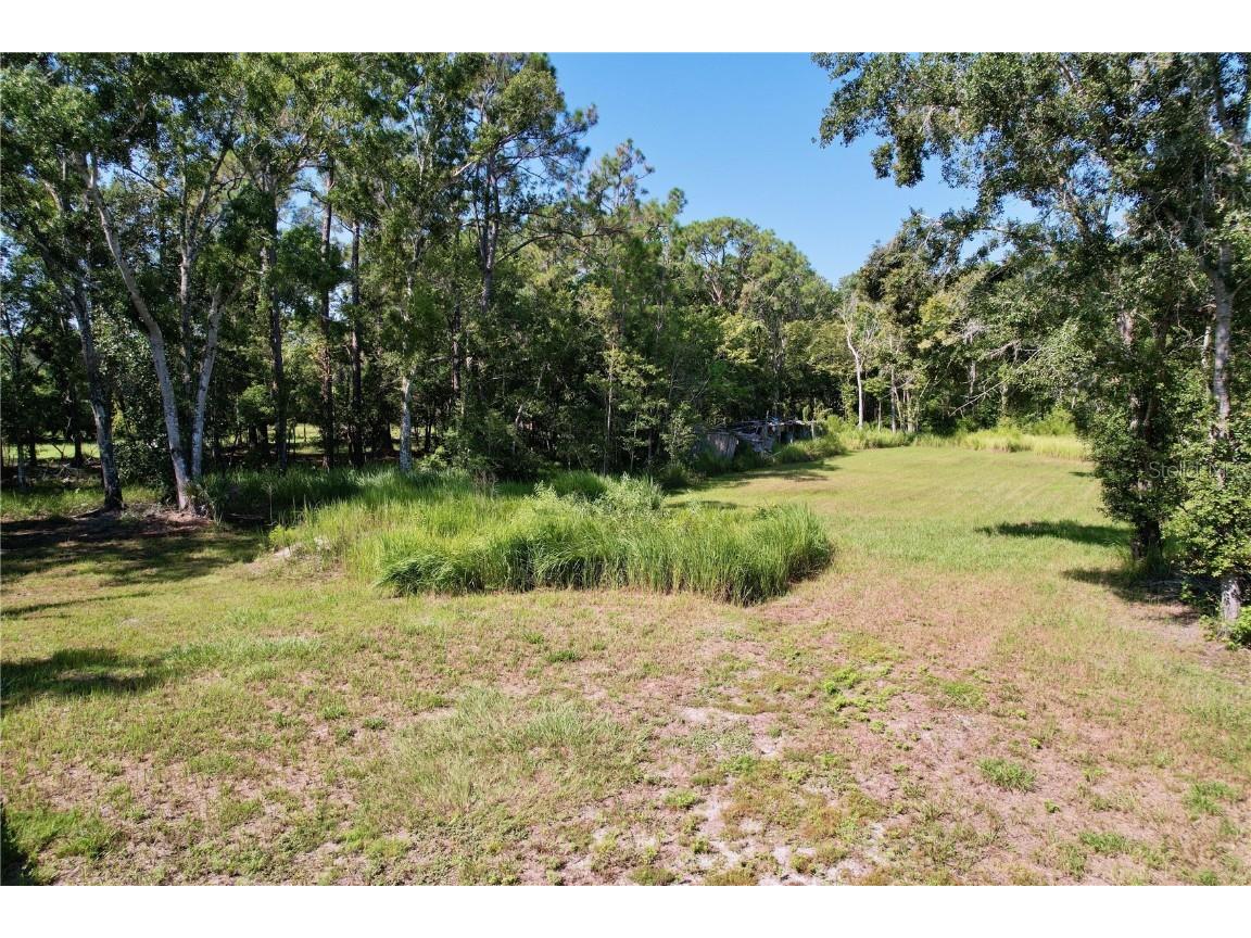 11017 Tracey Court New Port Richey FL 34654 TB8423966 image6