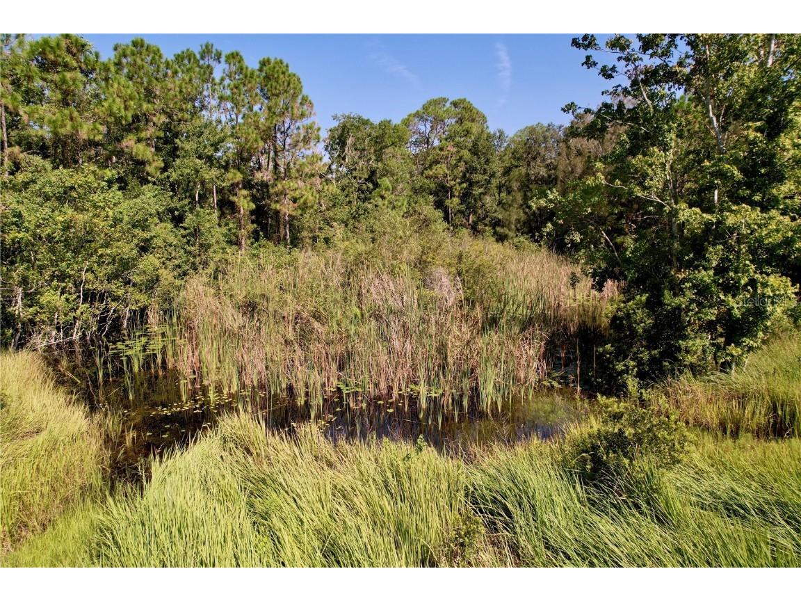 11017 Tracey Court New Port Richey FL 34654 TB8423966 image7