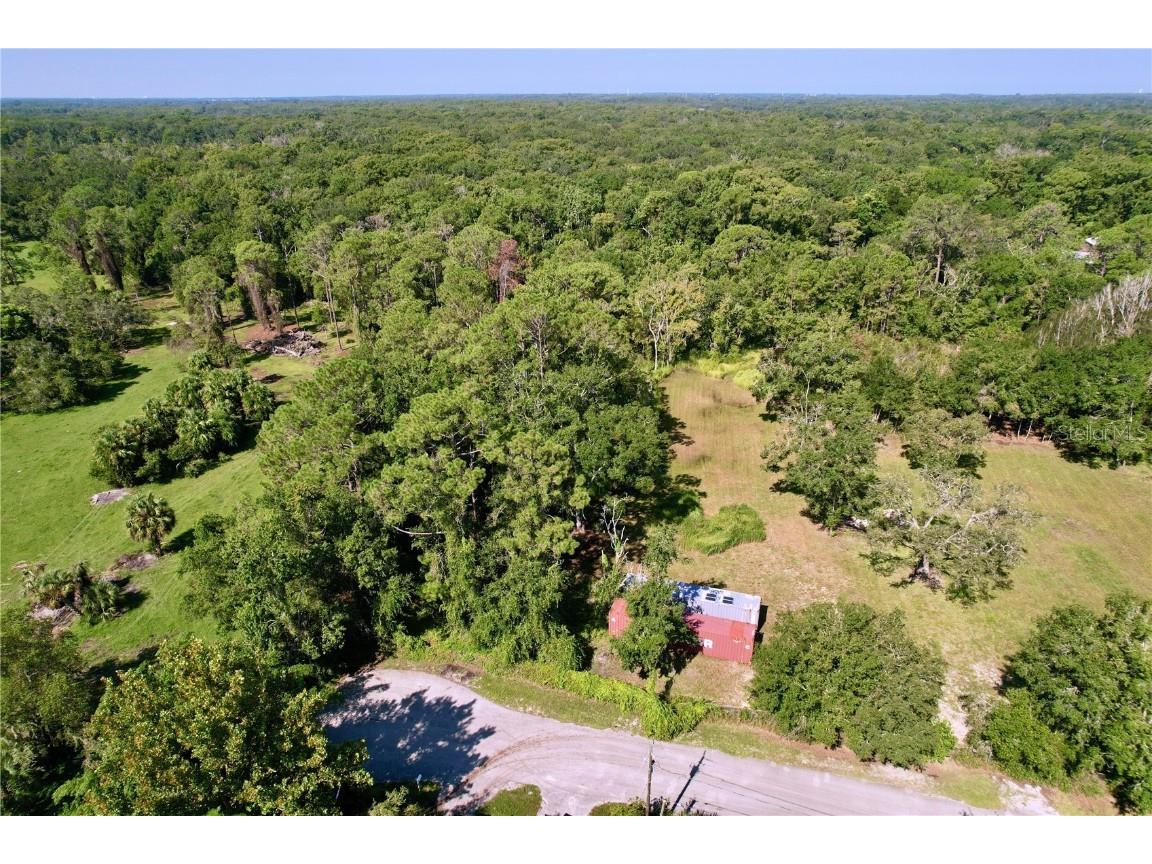 11017 Tracey Court New Port Richey FL 34654 TB8423966 image8