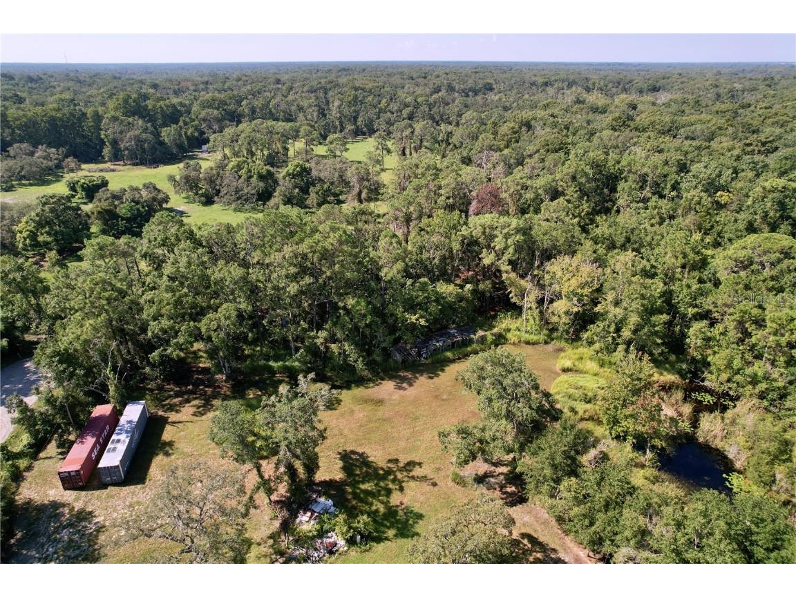 11017 Tracey Court New Port Richey FL 34654 TB8423966 image9