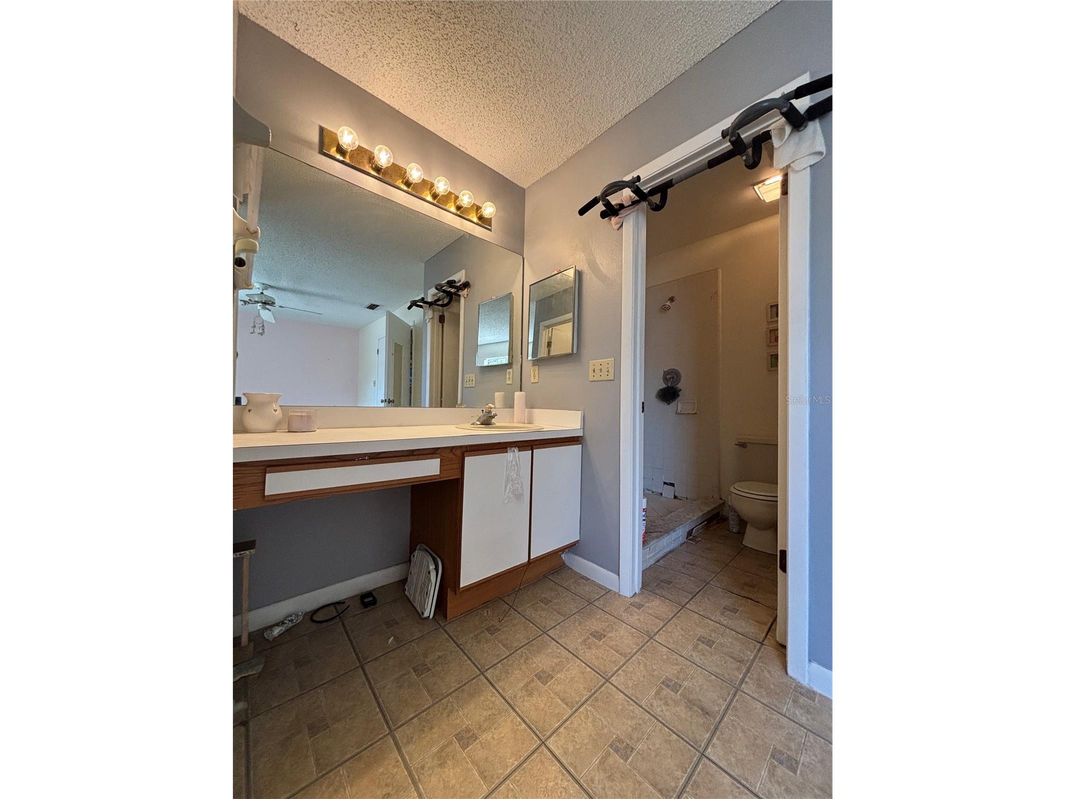 11017 Yorkshire Ridge Court Orlando FL 32839 O6424797 image16