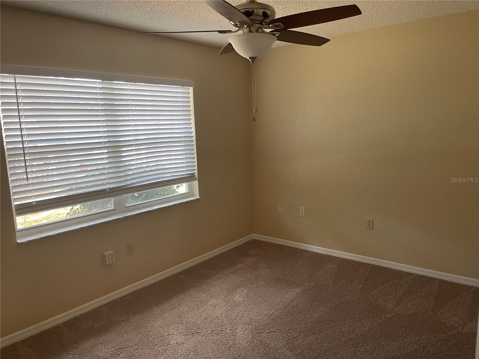 11018 Audie Brook Drive Spring Hill FL 34608 W7882434 image15