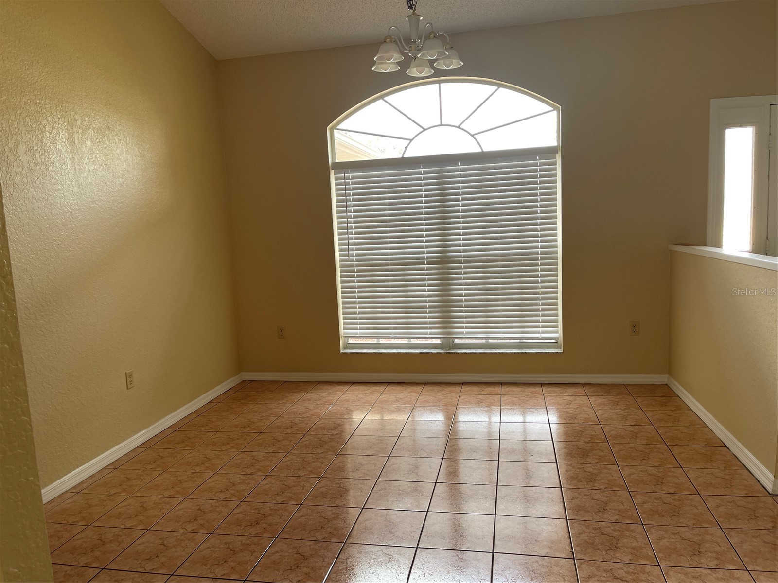 11018 Audie Brook Drive Spring Hill FL 34608 W7882434 image6