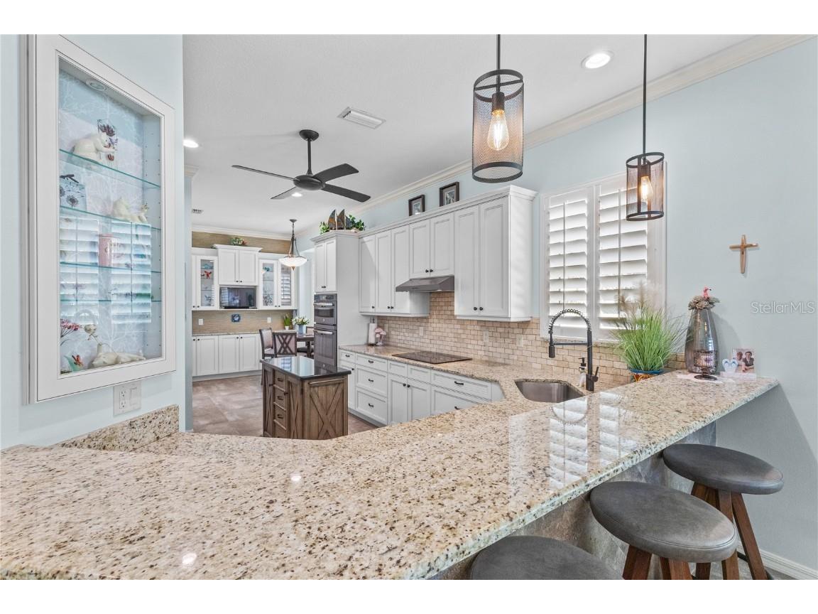 11018 Barnsley Drive Venice FL 34293 N6141255 image6