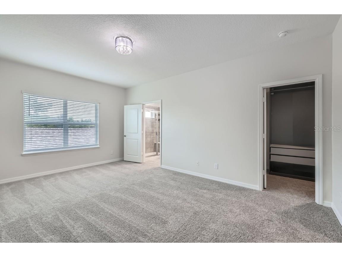 11018 Hanlon Terrace Alley Winter Garden FL 34787 TB8395071 image15