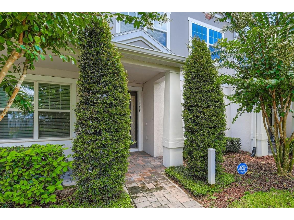 11018 Hanlon Terrace Alley Winter Garden FL 34787 TB8395071 image2