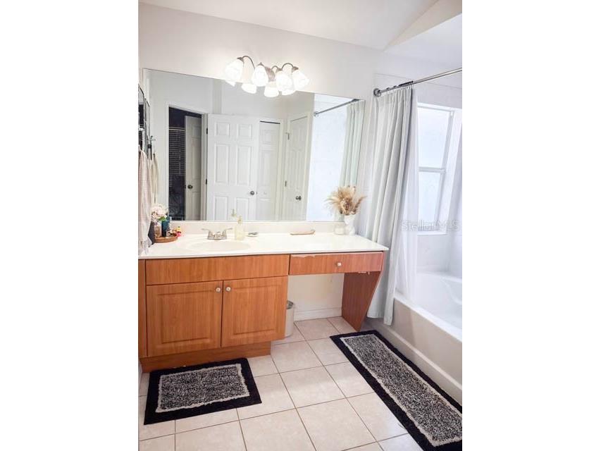 11018 Laurel Brook Court Riverview FL 33569 TB8416525 image14