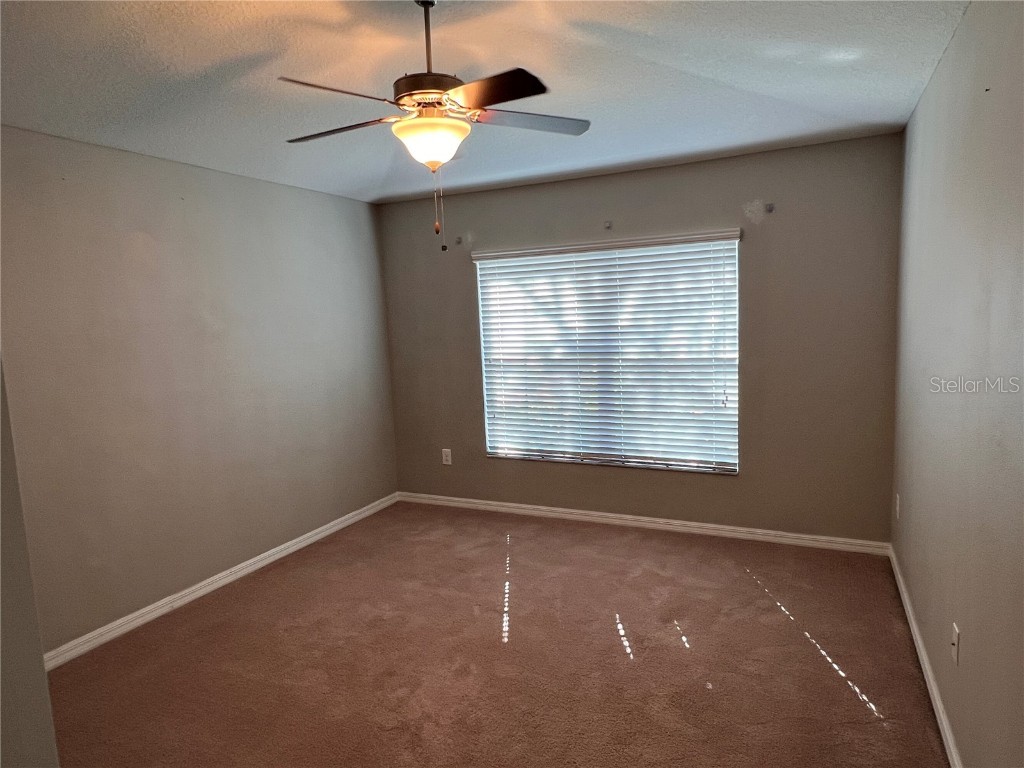 11018 Whittney Chase Drive Riverview FL 33579 TB8449596 image16