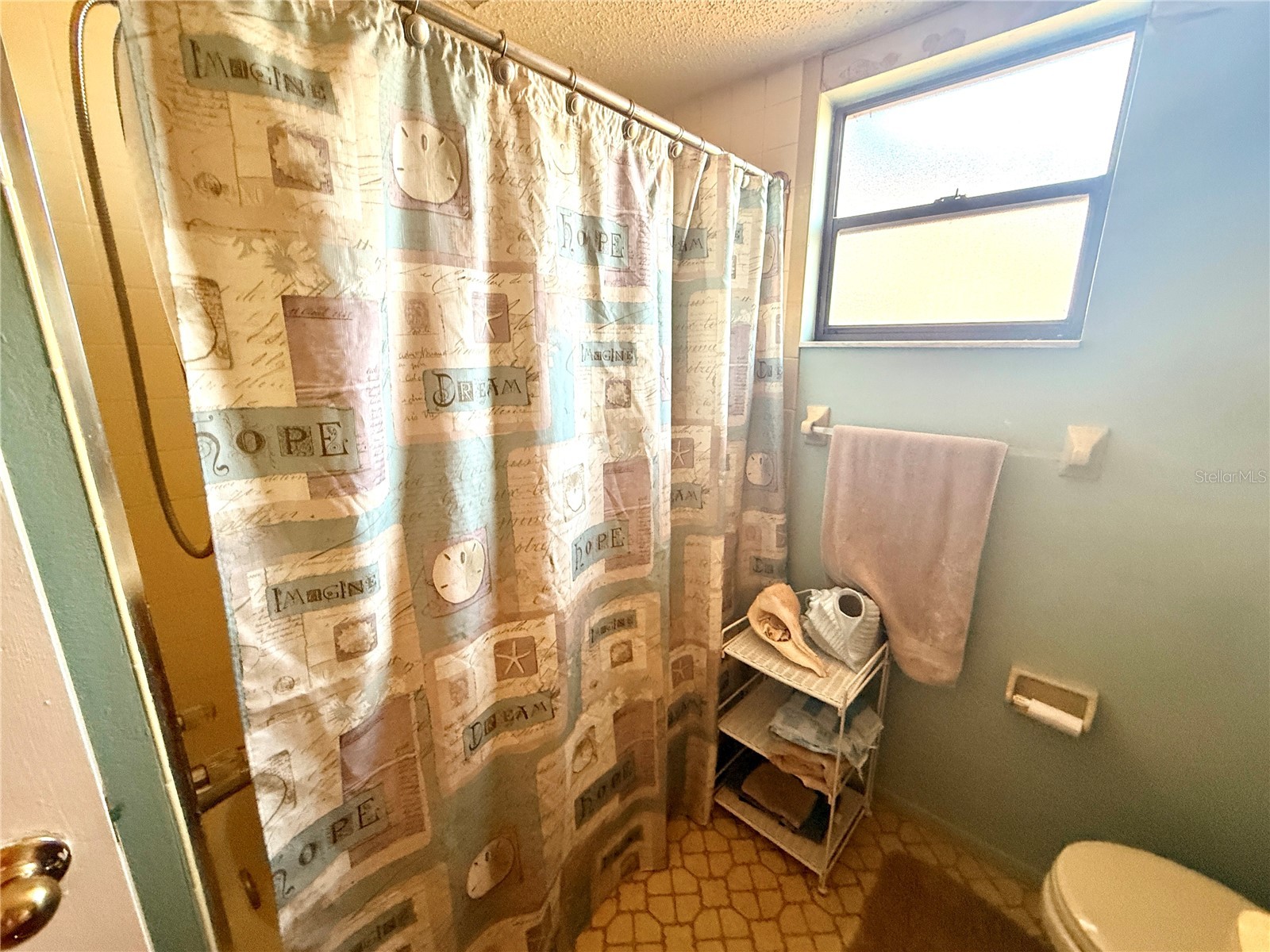 11019 Basquin Court Port Richey FL 34668 W7878799 image17