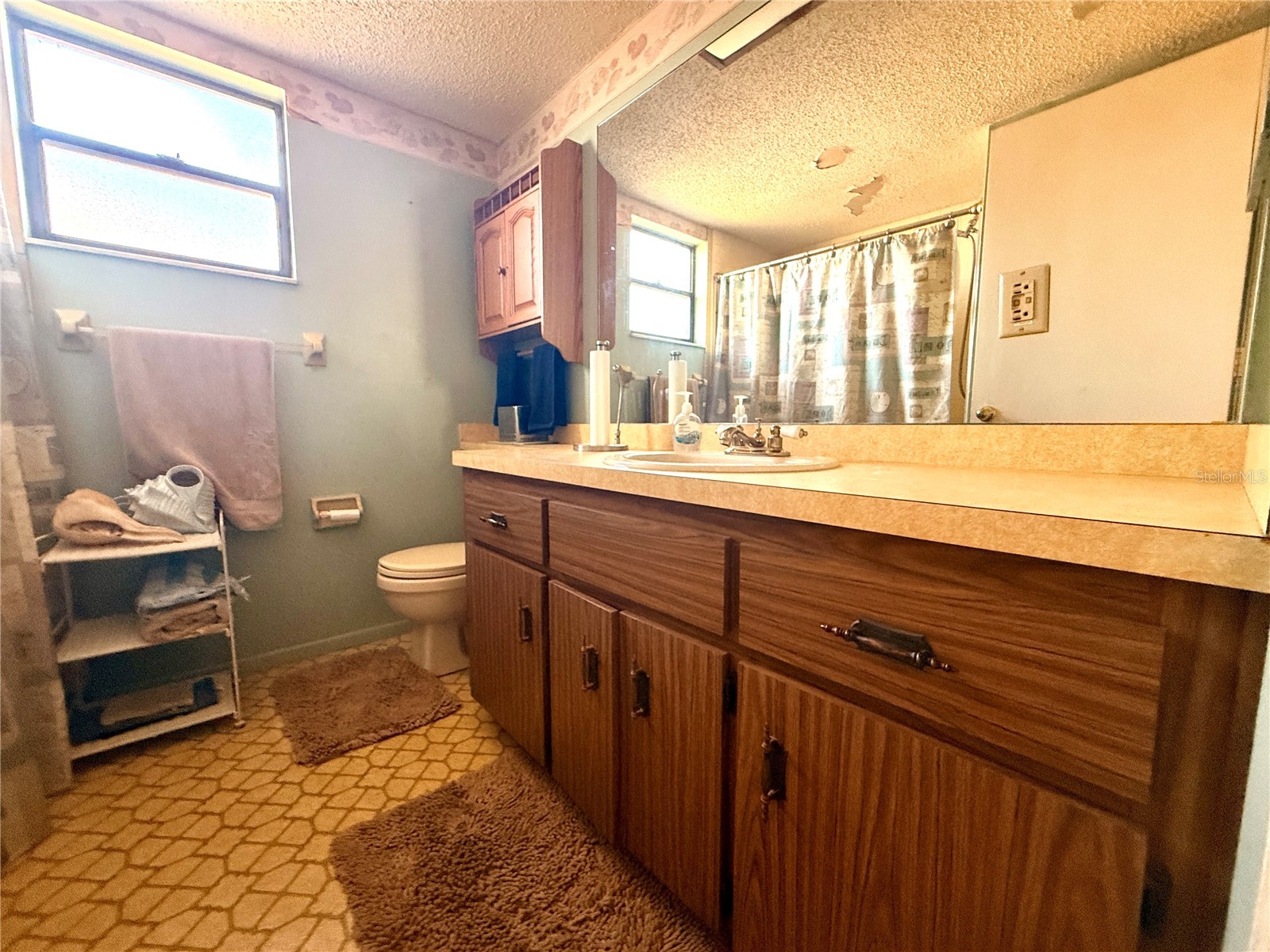 11019 Basquin Court Port Richey FL 34668 W7878799 image18