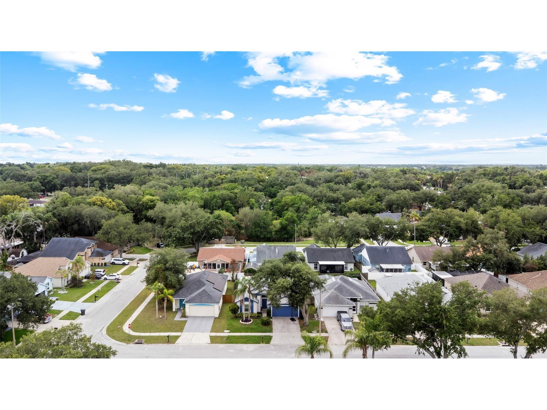 11019 Connacht Way Tampa FL 33610 TB8514366 image37