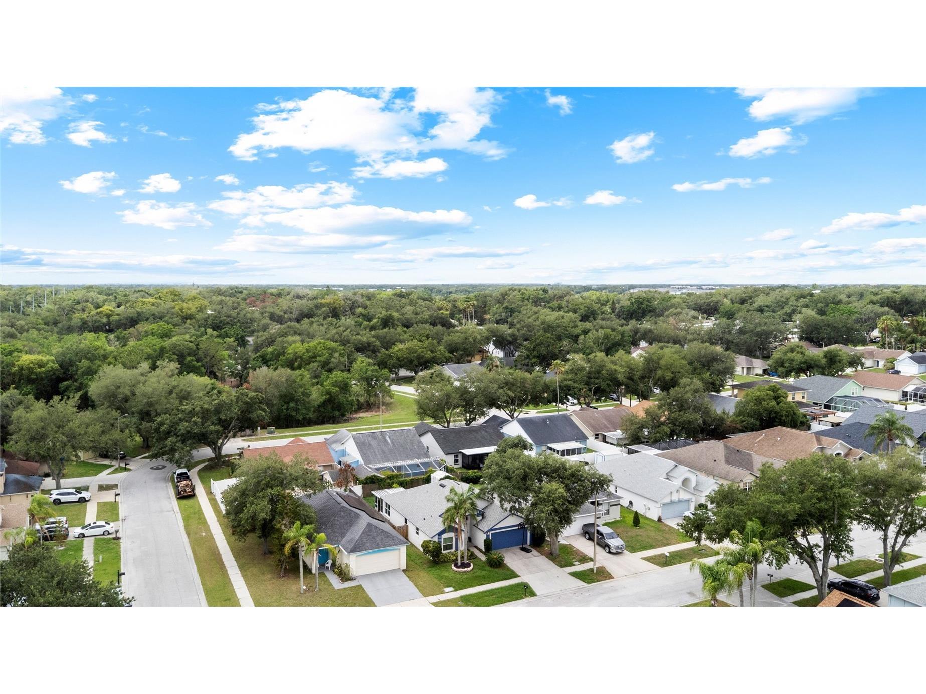 11019 Connacht Way Tampa FL 33610 TB8514366 image39