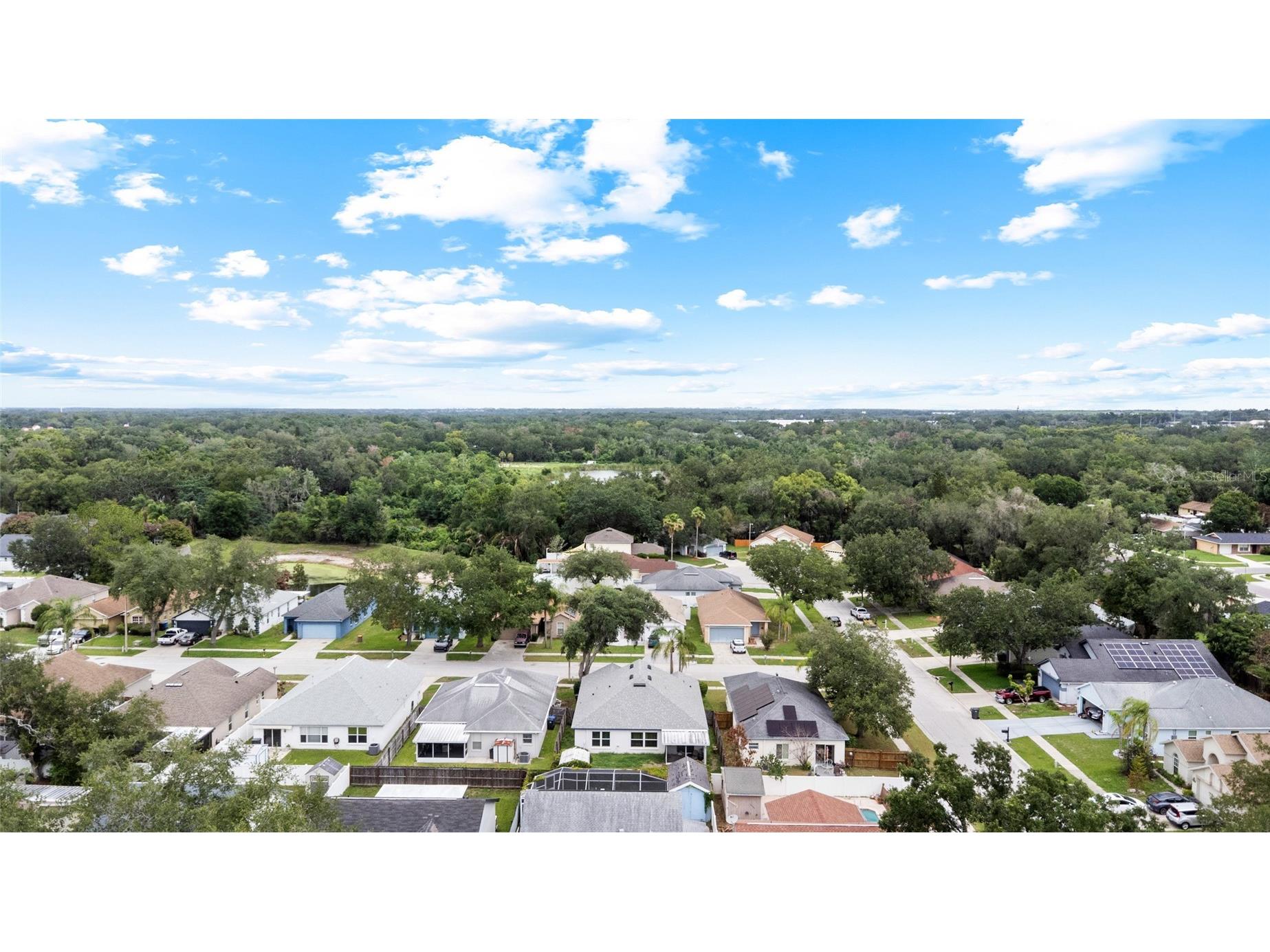 11019 Connacht Way Tampa FL 33610 TB8514366 image41