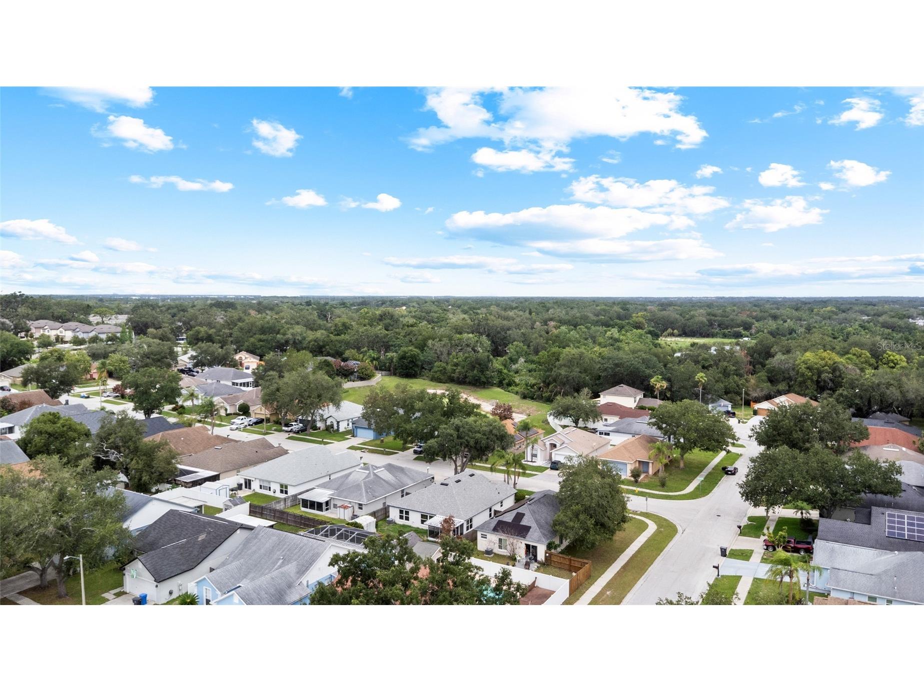 11019 Connacht Way Tampa FL 33610 TB8514366 image43