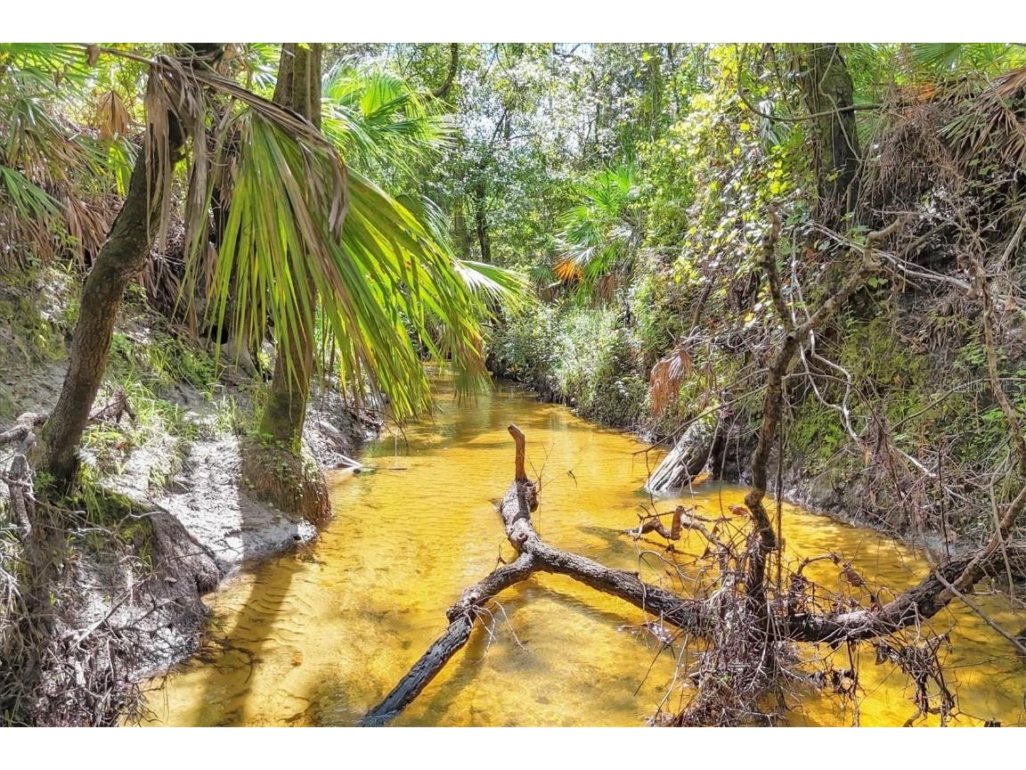 1102 134th Street E Bradenton FL 34212 - Mill Creek A4668562 image54