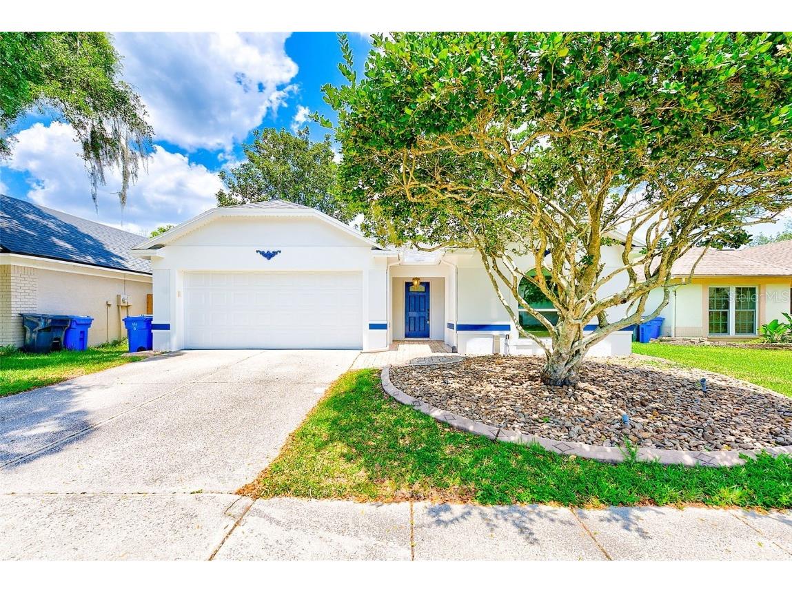 1102 Bloom Hill Avenue Valrico FL 33596 T3528461 image1