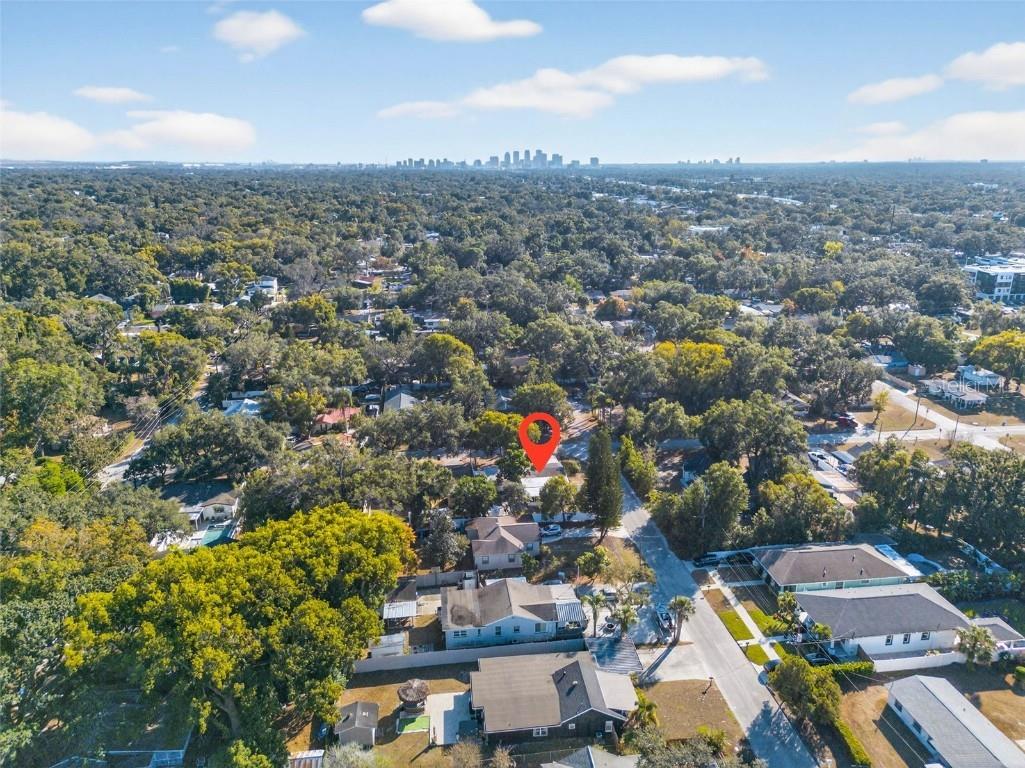 1102 E Lambright Street Tampa FL 33604 TB8449276 image28