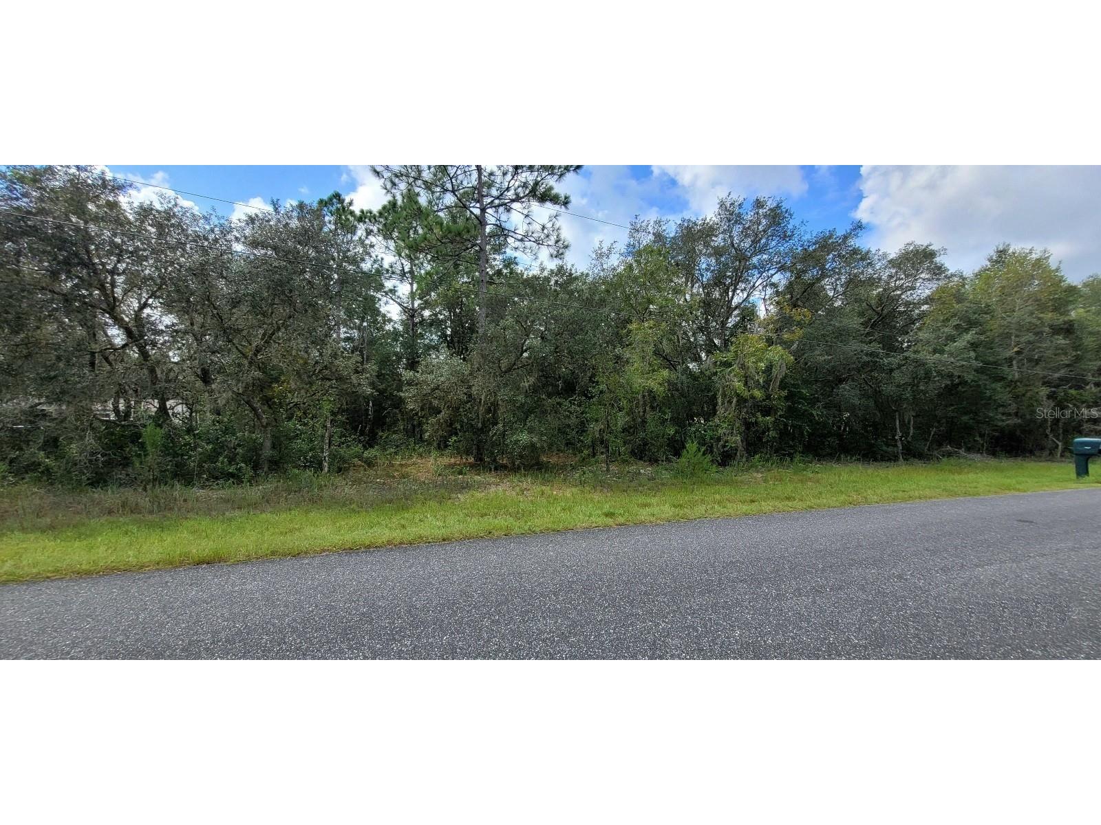 1102 E Wacker Street Hernando FL 34442 W7857797 image1