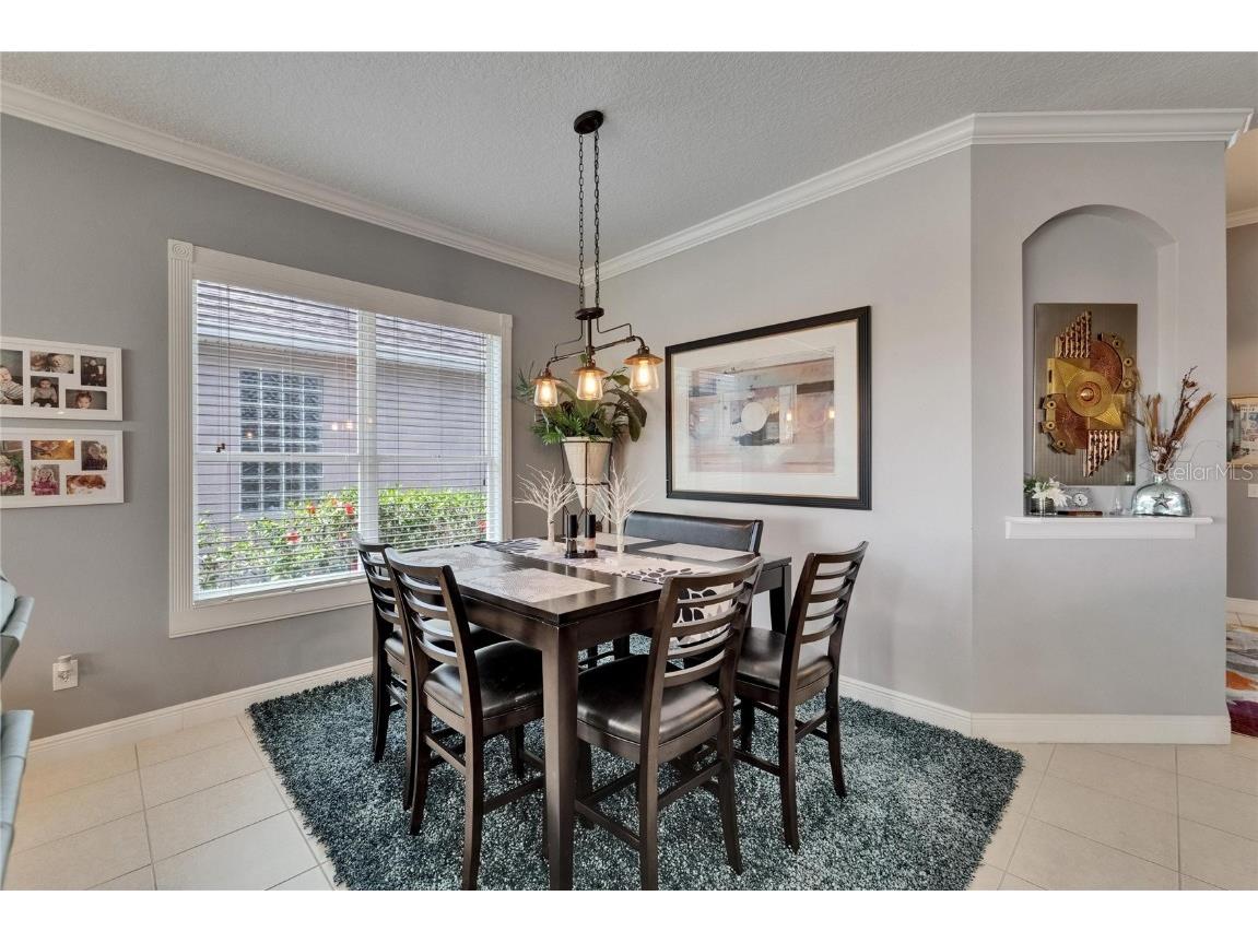 1102 Emerald Dunes Drive Sun City Center FL 33573 TB8368830 image19