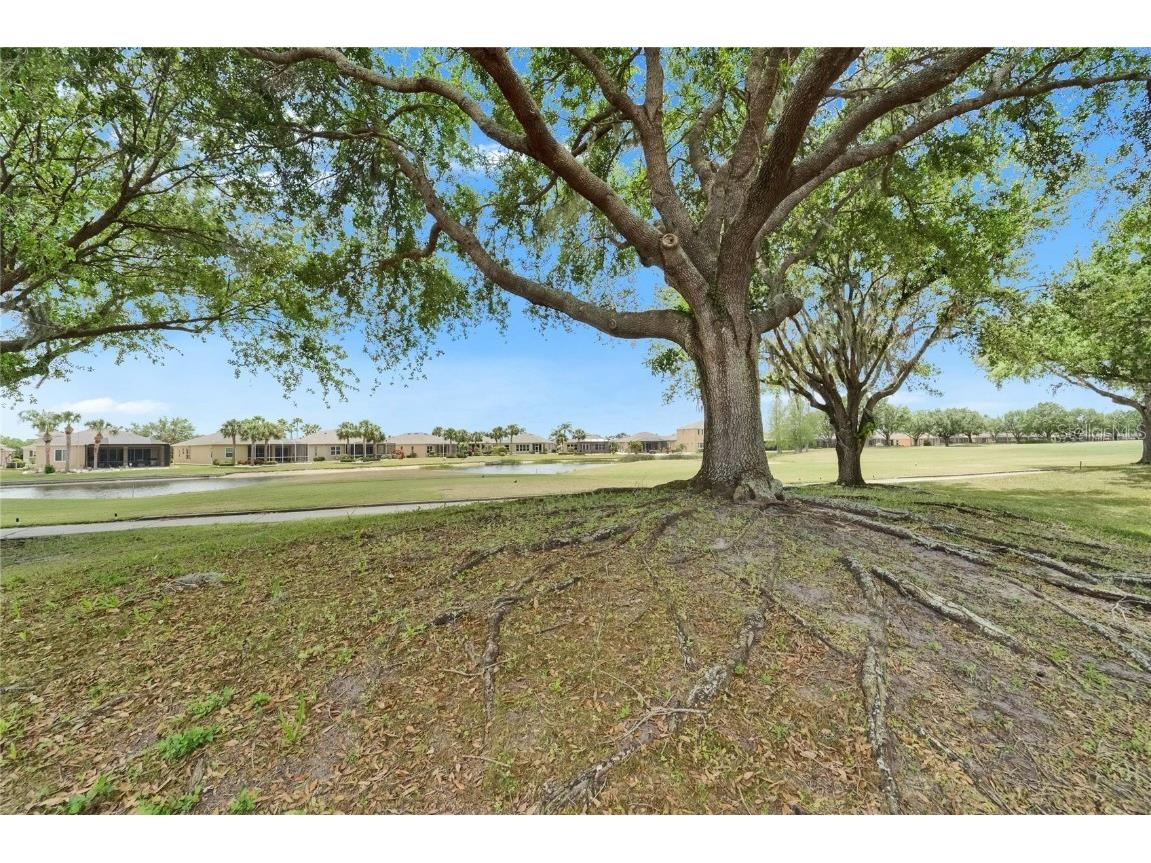 1102 Emerald Dunes Drive Sun City Center FL 33573 TB8368830 image51