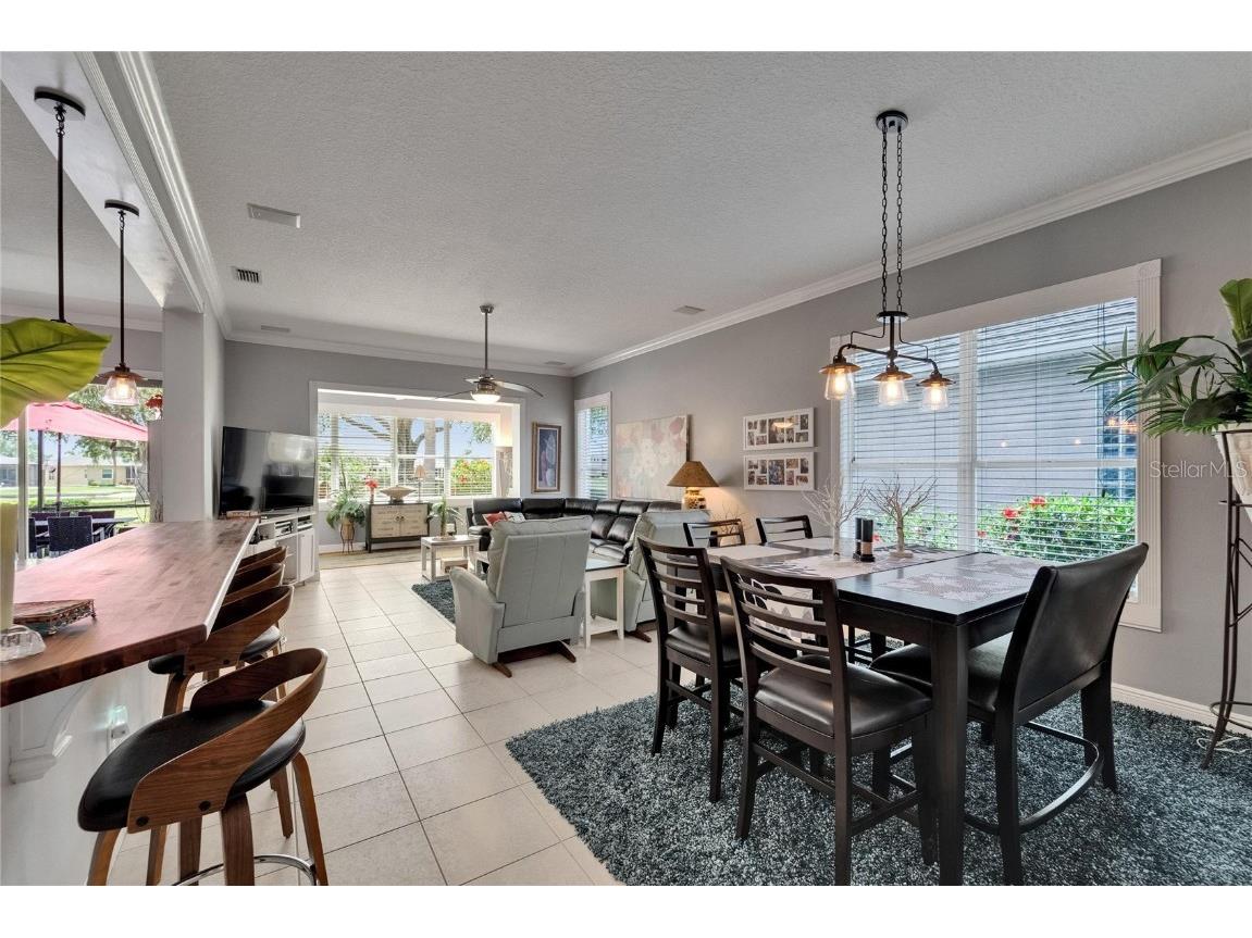 1102 Emerald Dunes Drive Sun City Center FL 33573 TB8368830 image8