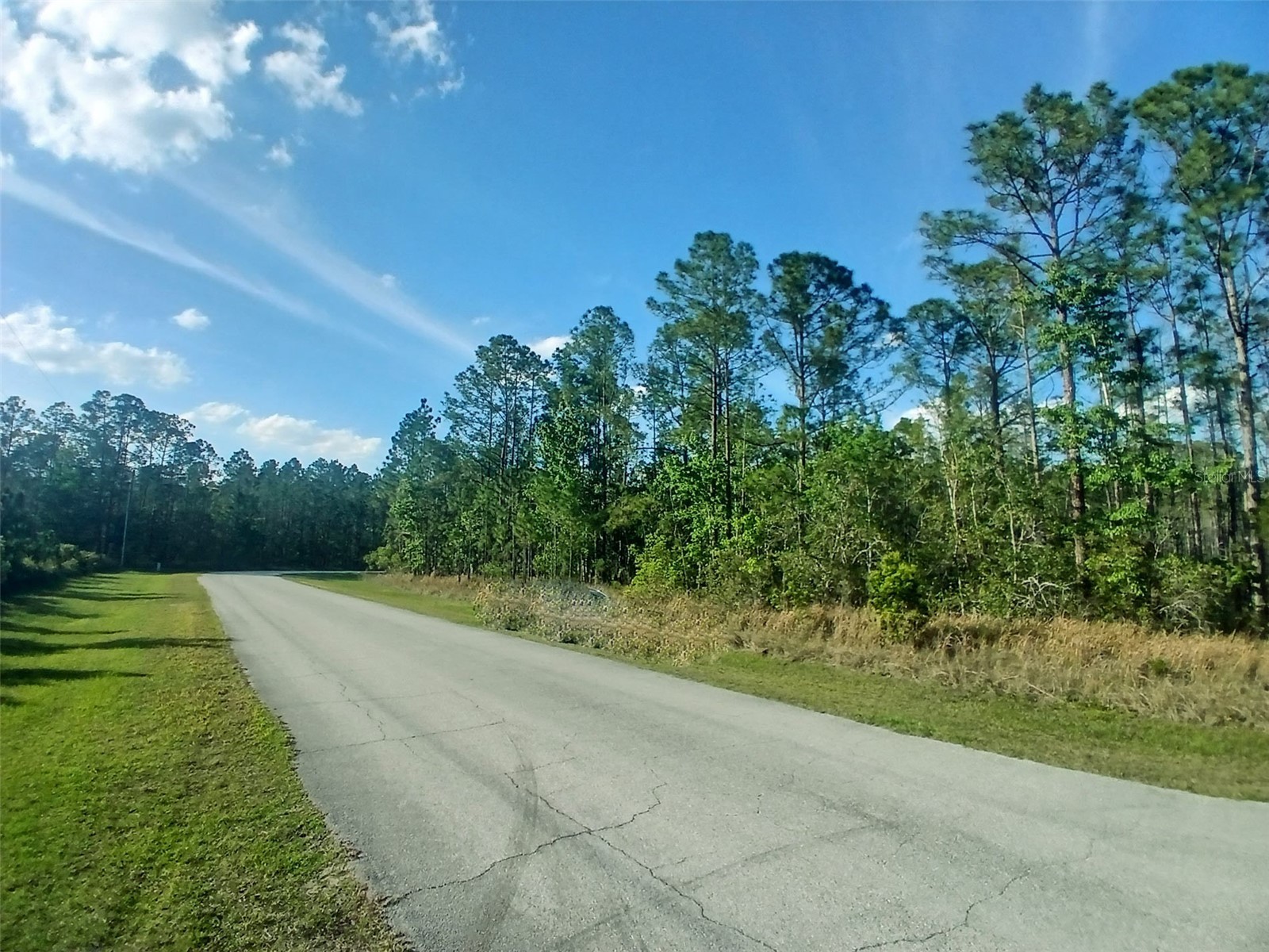 1102 Hidden Palms Drive Davenport FL 33897 TB8489280 image12