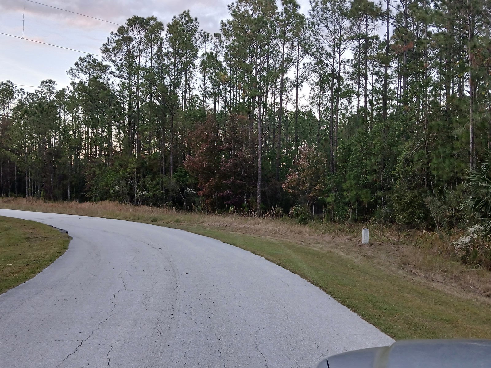 1102 Hidden Palms Drive Davenport FL 33897 TB8489280 image15